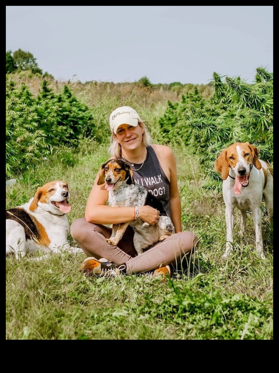 Kuyruklar ve Yollar: Köpekler için Açık Hava Maceraları