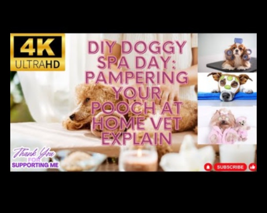 Doggy Day Spa: Yavru Köpeğinizi Kendin Yap Bakımıyla Şımartmak