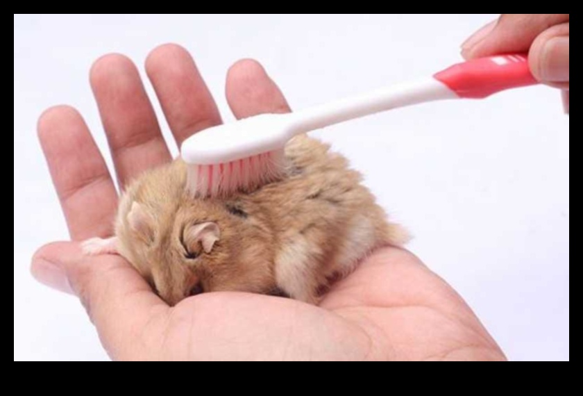 Hamster Bakım Sanatı: Bakımlı Bir Evcil Hayvanın Bakımı İçin İpuçları