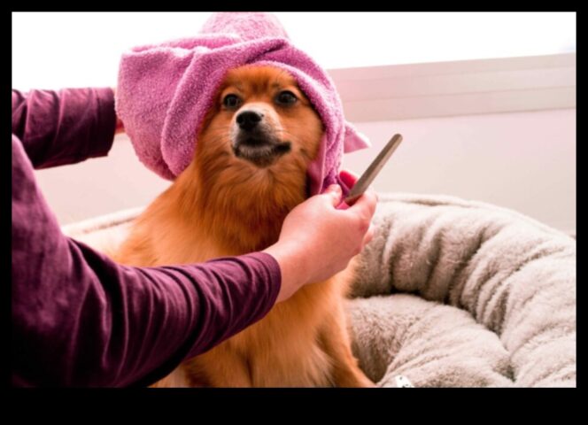 Doggy Day Spa Yavru Köpeğinizi Kendin Yap Bakımıyla Şımartıyor