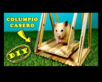 Hamster Kendin Yap Oyuncakları Devamı Çevre Dostu ve İnteraktif Fikirler