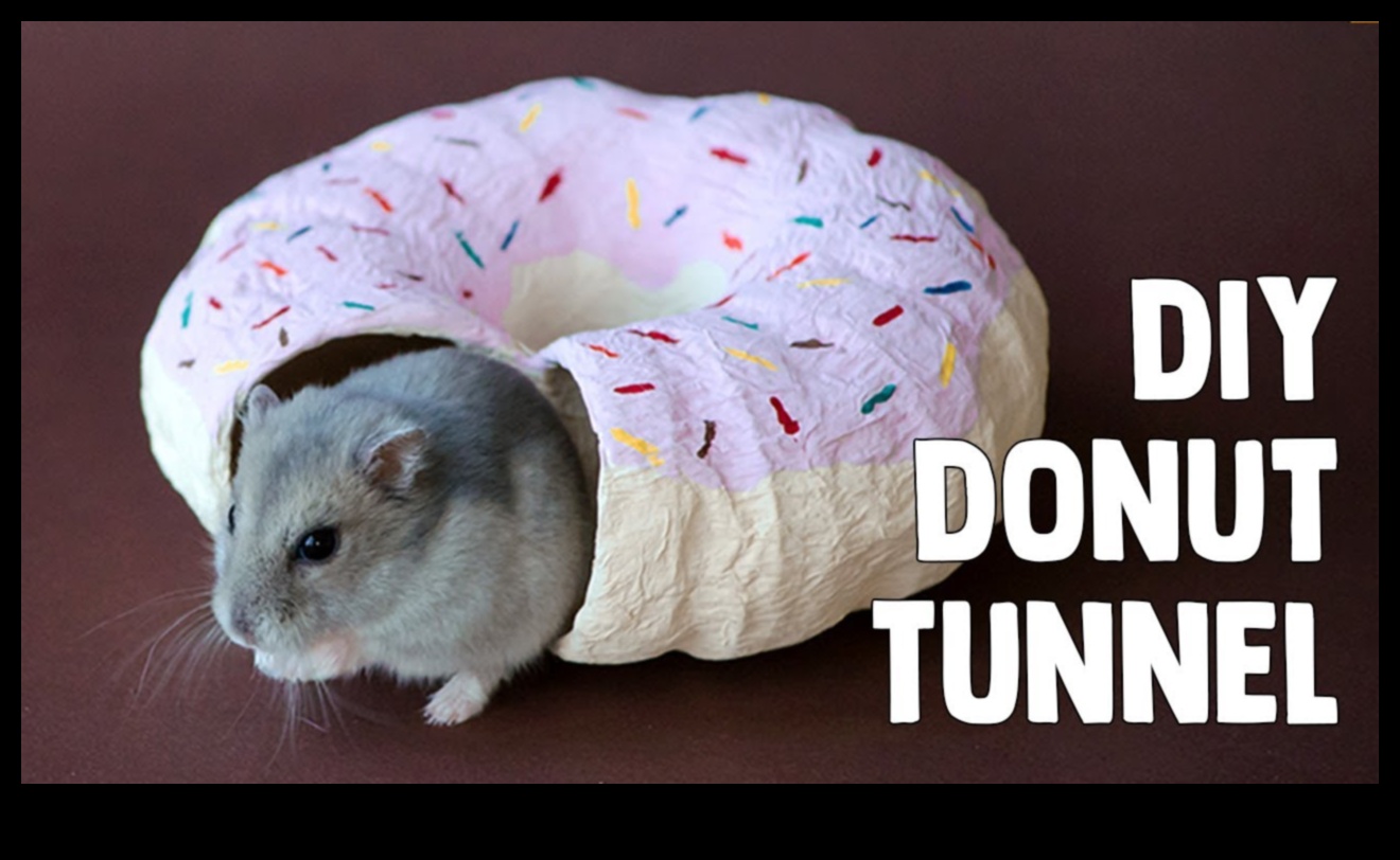 DIY Hamster oyuncakları: Eğlence için eğlenceli aksesuarların hazırlanması