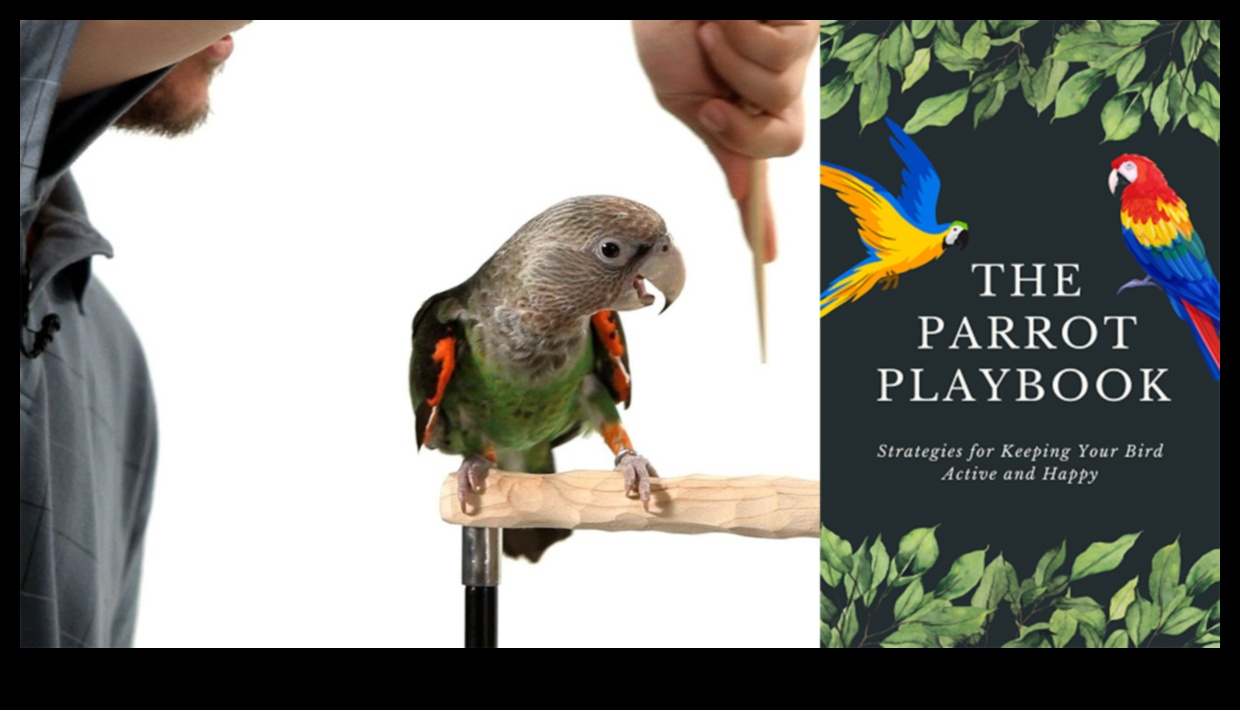 Parrot Playdates: Evcil Hayvan Kuşları için Sosyal Etkileşimi Besleme