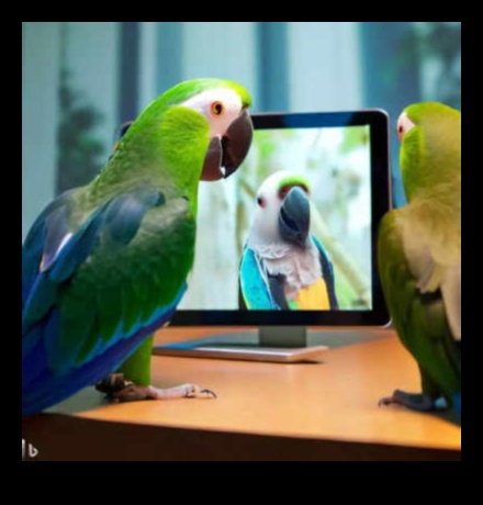 Parrot Playdates: Evcil Hayvan Kuşları için Sosyal Etkileşimi Besleme