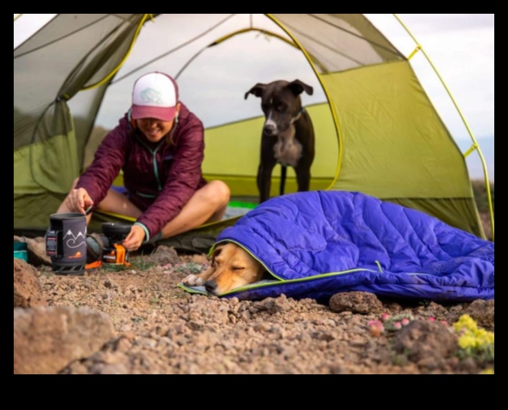 Köpek Kampı Devam: Açık Hava Keşfi Genişletme