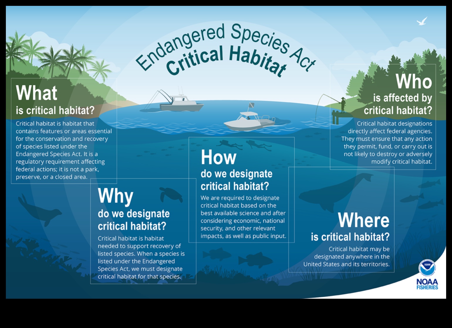 Balık Habitat Koruma: Doğal ortamları koruma çabaları