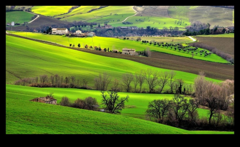 Yuvarlanan tepeler ve pastoral sahneler: kırsal manzaralar açıklandı