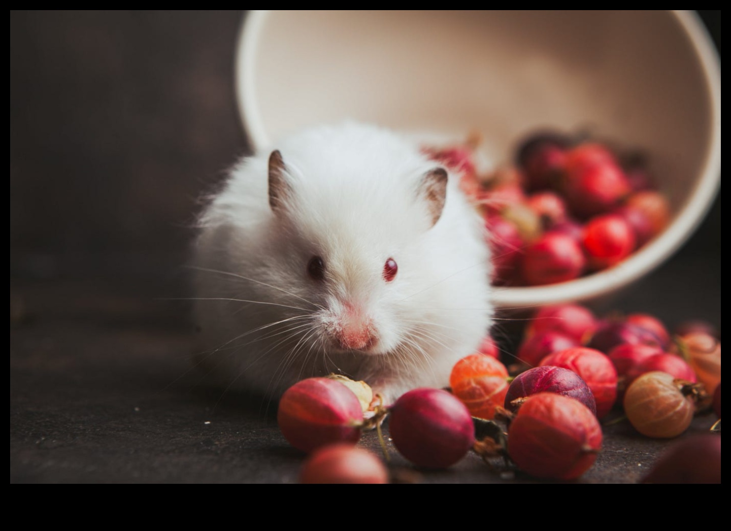 Hamster Alışkanlıkları: Bu küçük yaratıkların ilginç davranışlarını keşfetmek