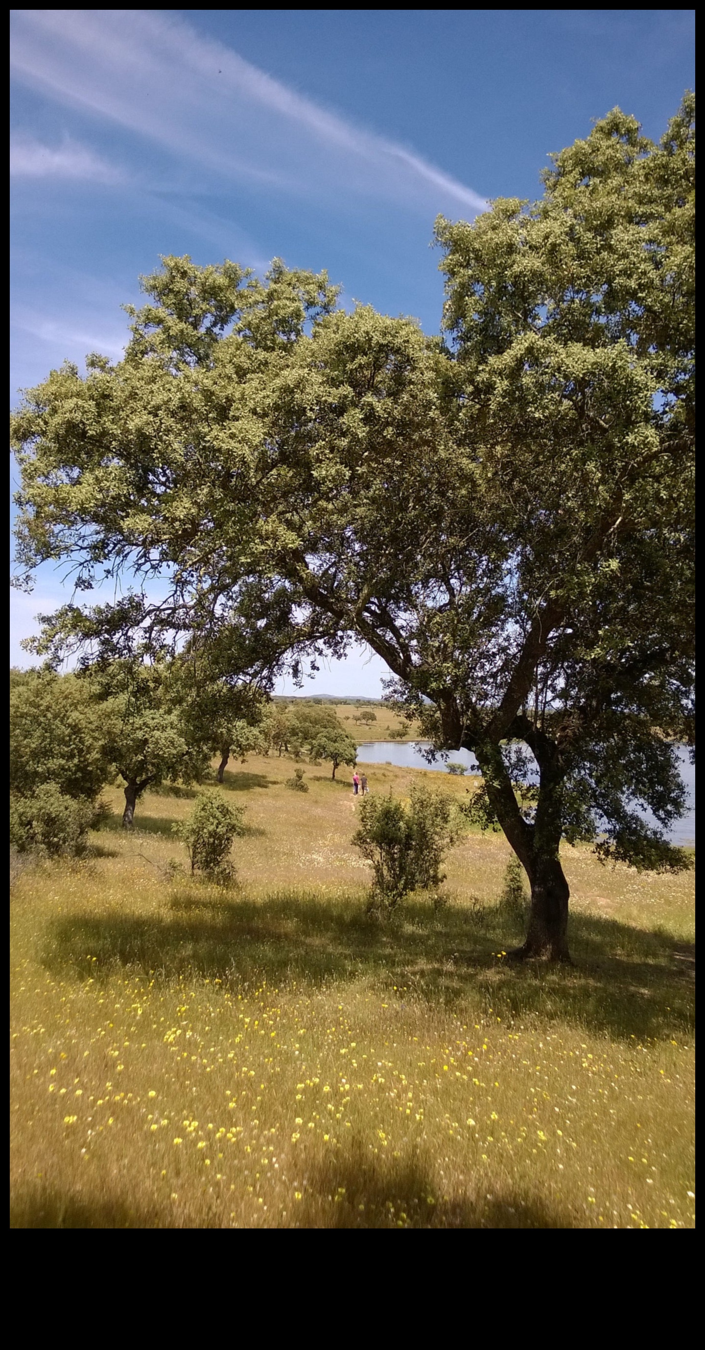 Yuvarlanan tepeler ve pastoral sahneler: kırsal manzaralar açıklandı